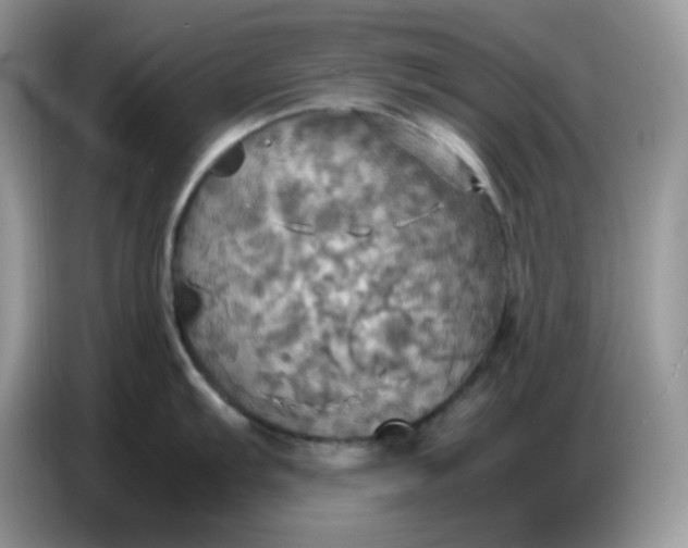 X0000086771103200704271745