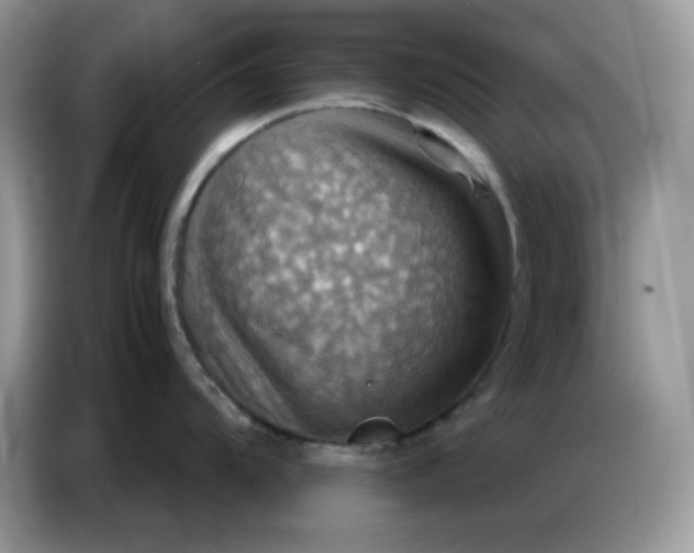 X0000086771104200704271745