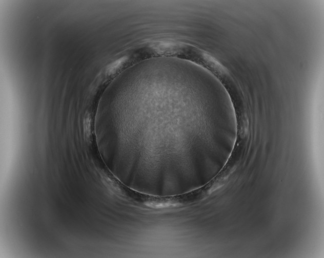 X0000086771108200704271744