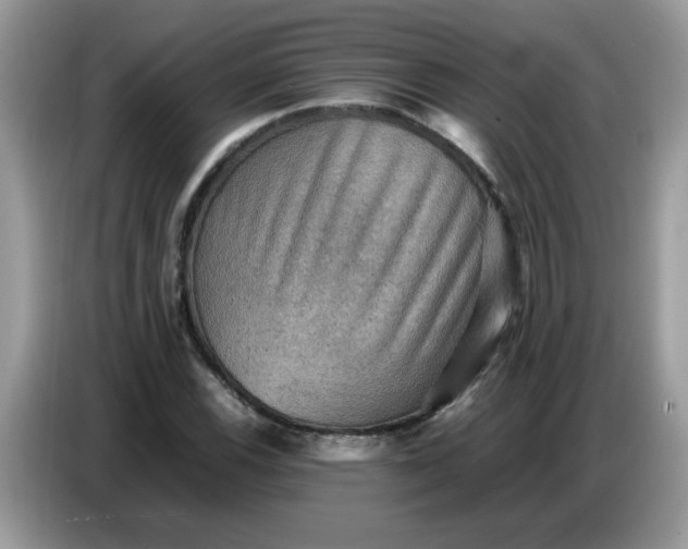 X0000086771116200704271744