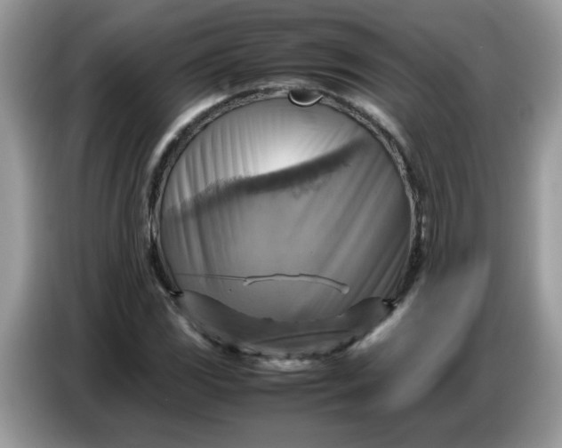 X0000086771117200704271744