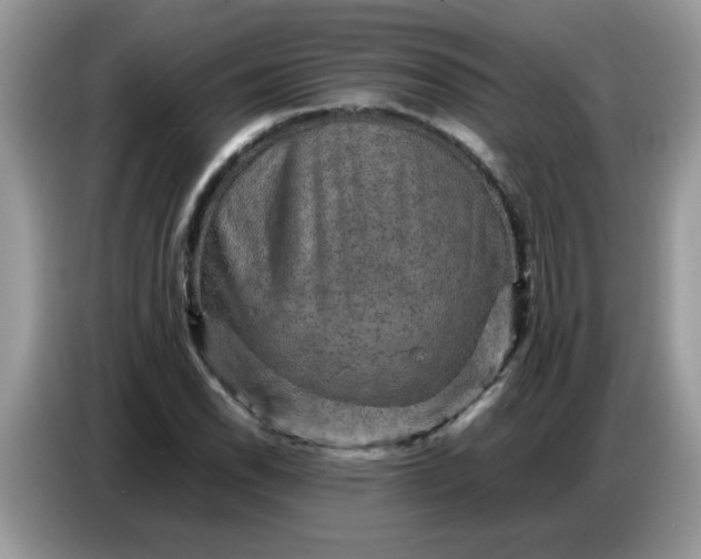 X0000086771118200704271744