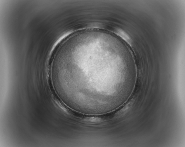 X0000086771119200704271744