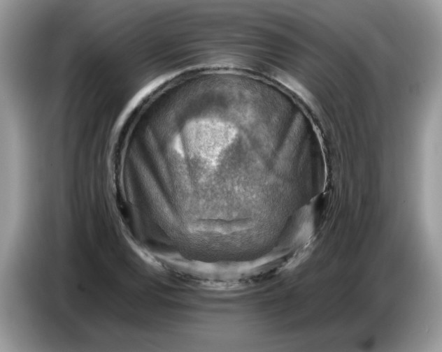 X0000086771120200704271745