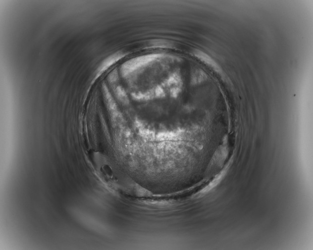 X0000086771121200704271745
