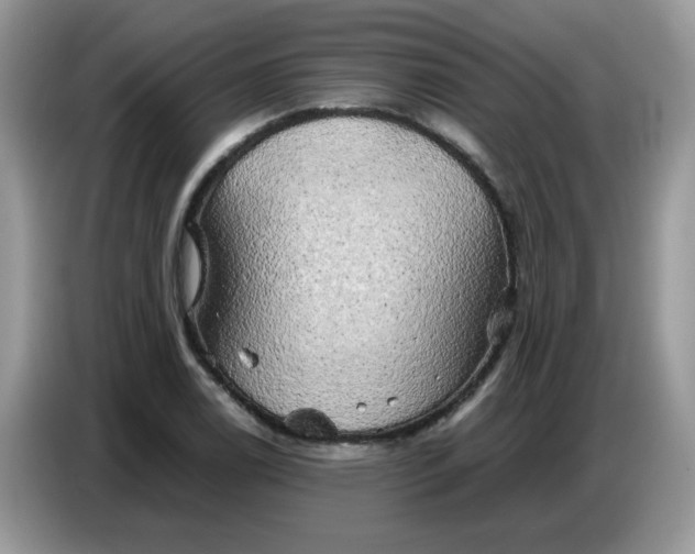 X0000086771122200704271745