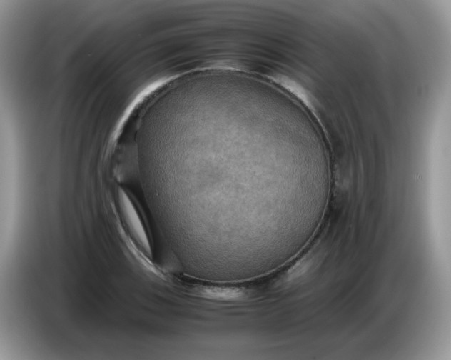 X0000086771123200704271745