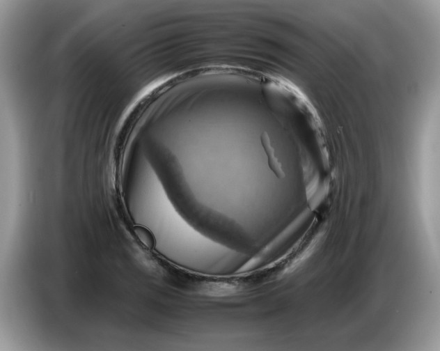 X0000086771125200704271745