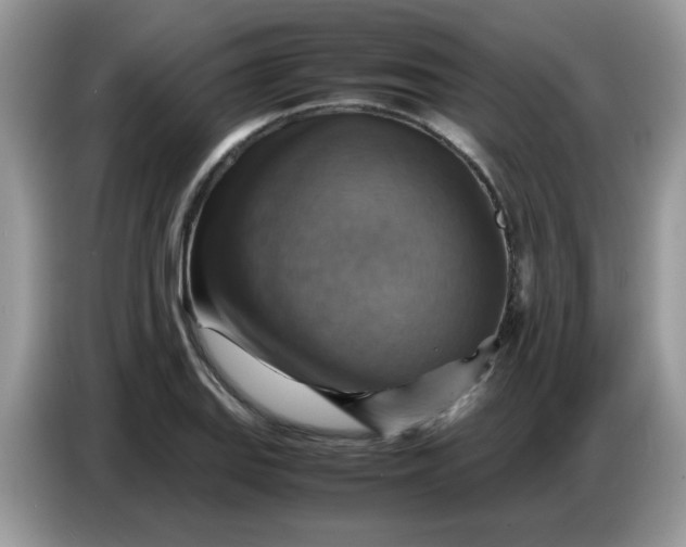 X0000086771127200704271745