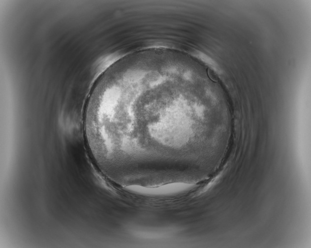 X0000086771129200704271745