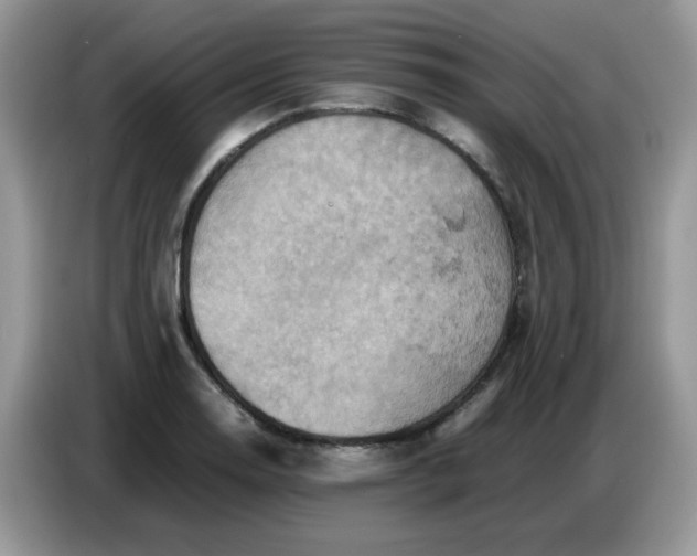 X0000086771130200704271745