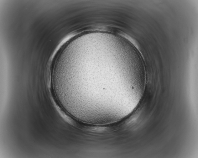 X0000086771131200704271745