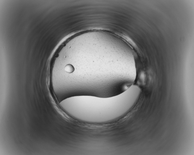 X0000086771132200704271745