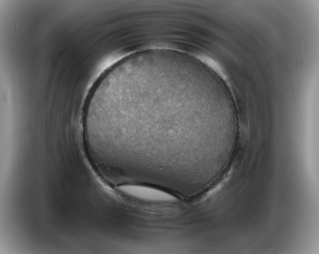 X0000086771133200704271745