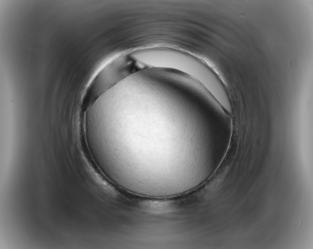 X0000086771134200704271745