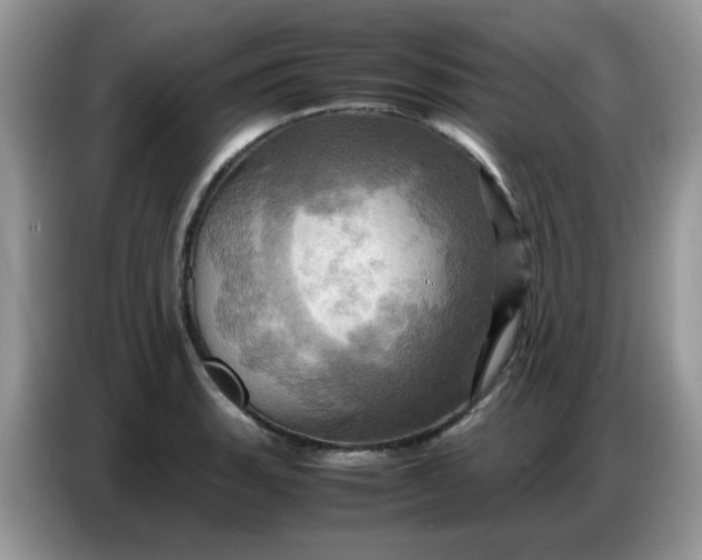 X0000086771135200704271745