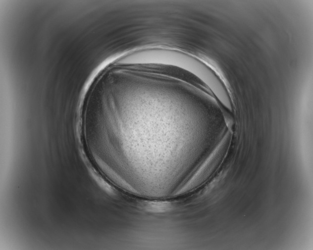 X0000086771136200704271745
