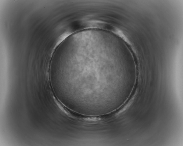 X0000086771137200704271745