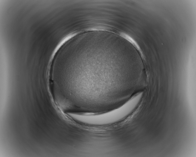 X0000086771138200704271745
