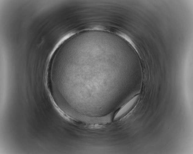 X0000086771139200704271745