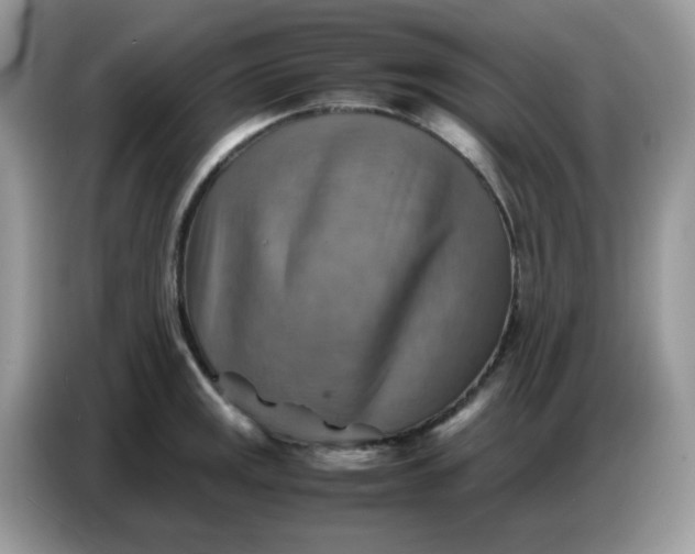 X0000086771141200704271745