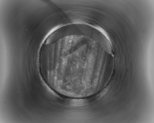 X0000086771142200704271745