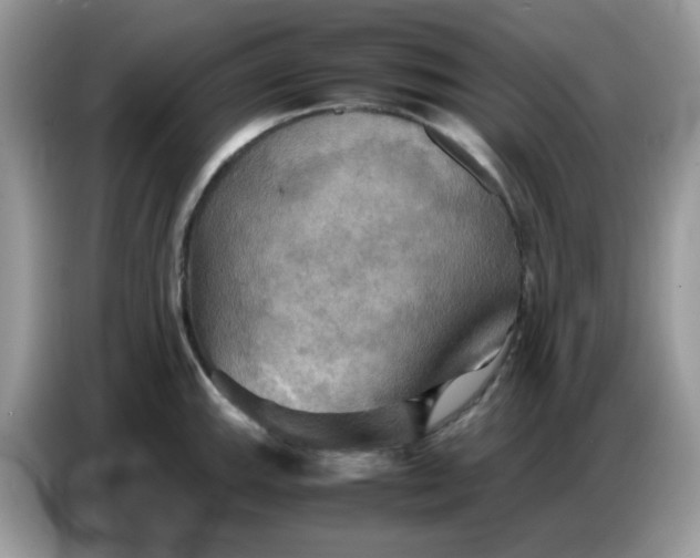 X0000086771143200704271745