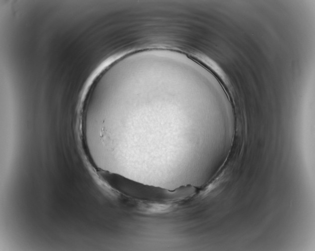 X0000086771144200704271745