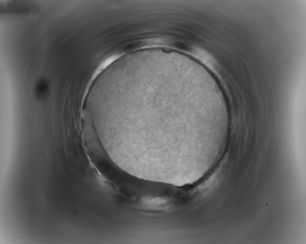 X0000086771145200704271745
