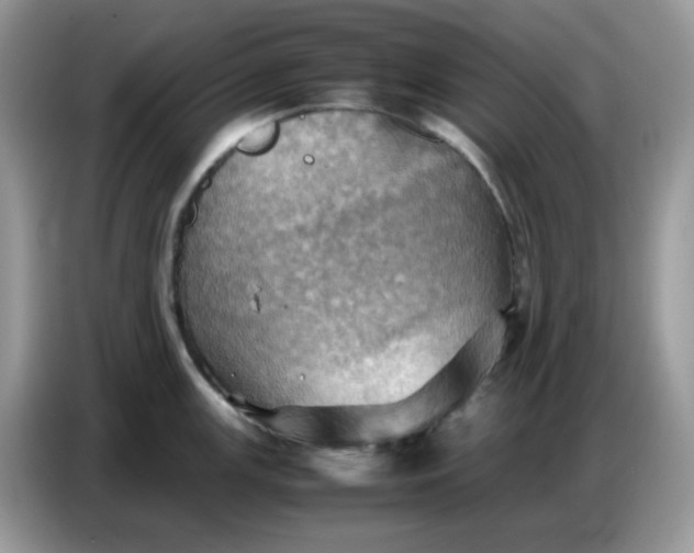 X0000086771147200704271745