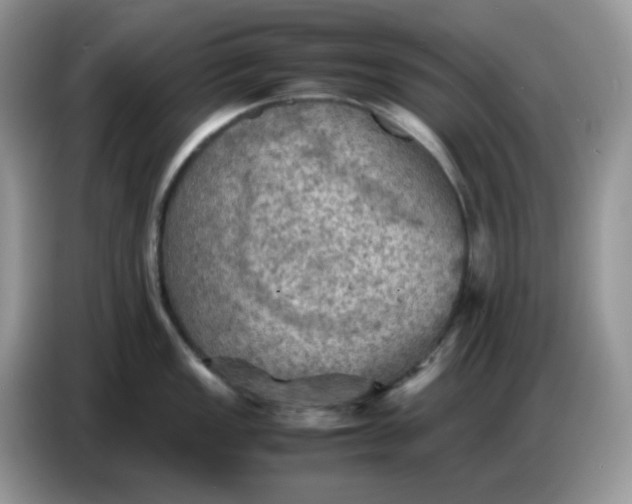 X0000086771149200704271745