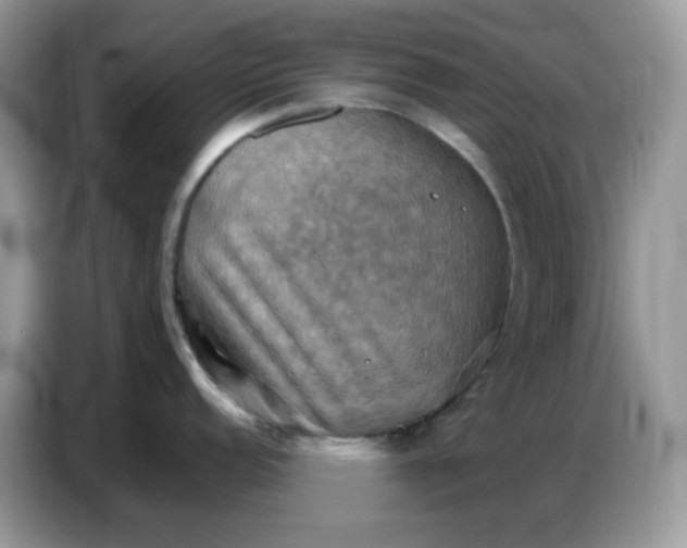 X0000086771152200704271745