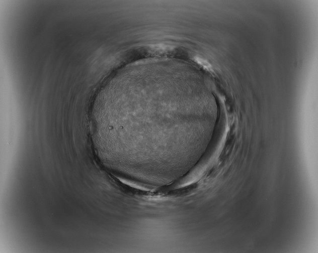 X0000086771153200704271744