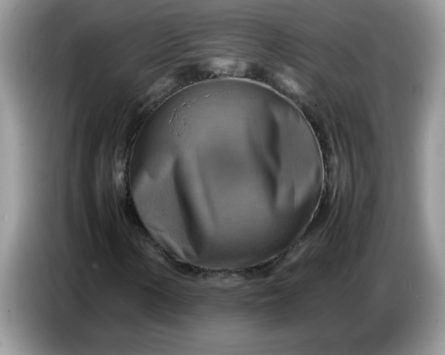 X0000086771154200704271744