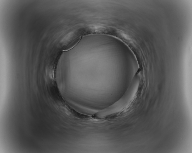 X0000086771155200704271744