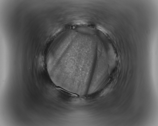 X0000086771156200704271744