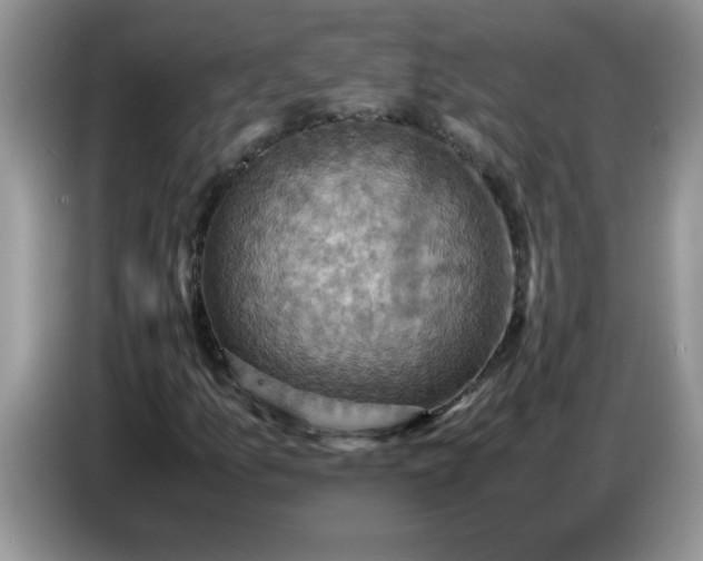 X0000086771157200704271744