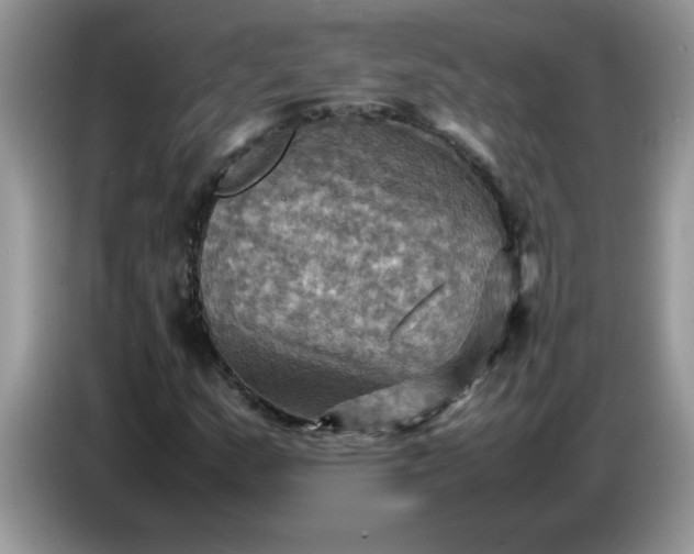 X0000086771159200704271744