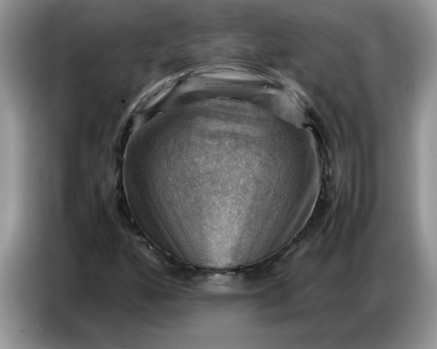 X0000086771160200704271744