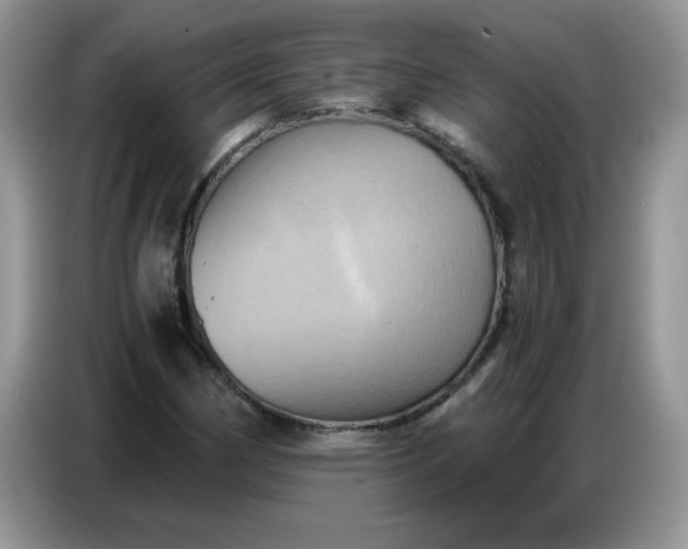 X0000086771162200704271744