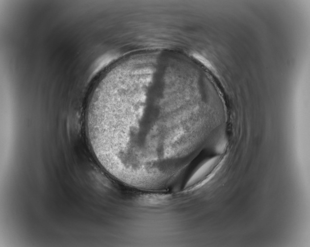 X0000086771163200704271744