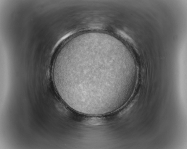 X0000086771166200704271744