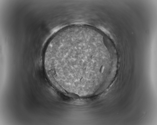 X0000086771167200704271744