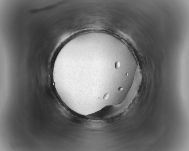 X0000086771168200704271744
