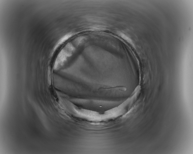 X0000086771171200704271744