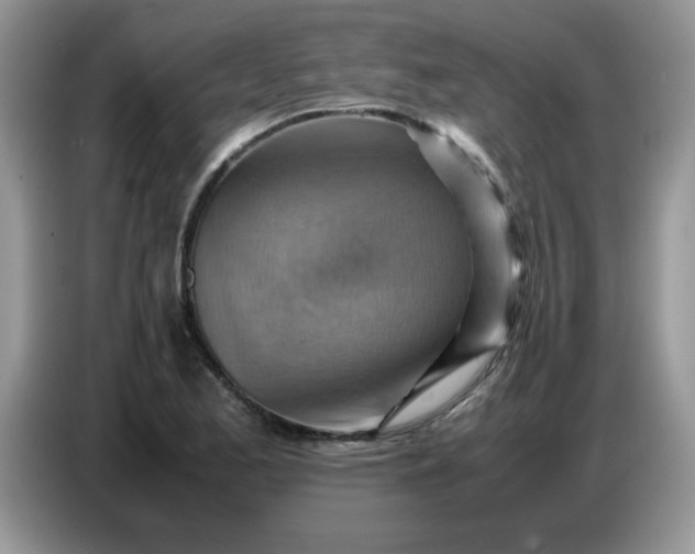 X0000086771173200704271744