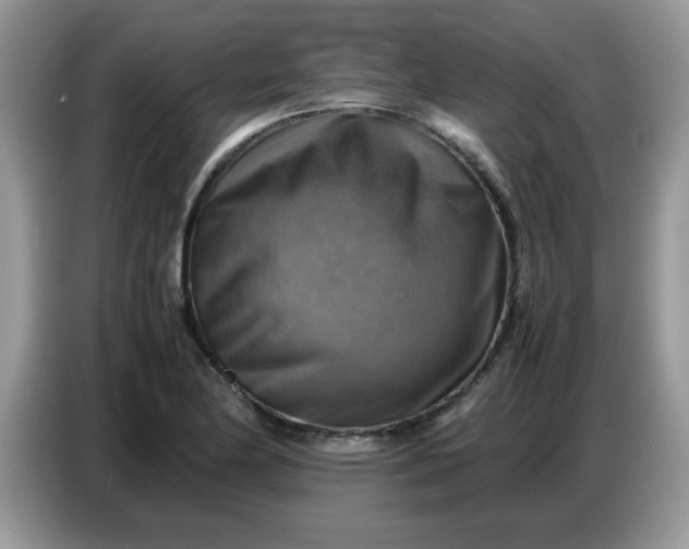 X0000086771174200704271744
