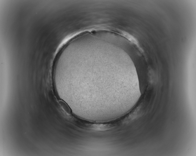 X0000086771176200704271744