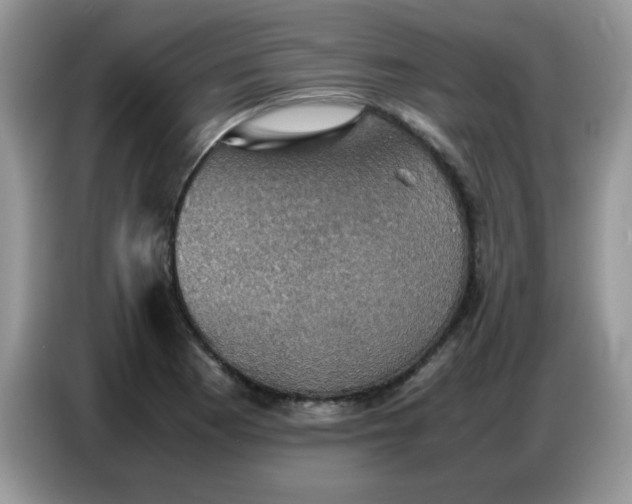 X0000086771177200704271744