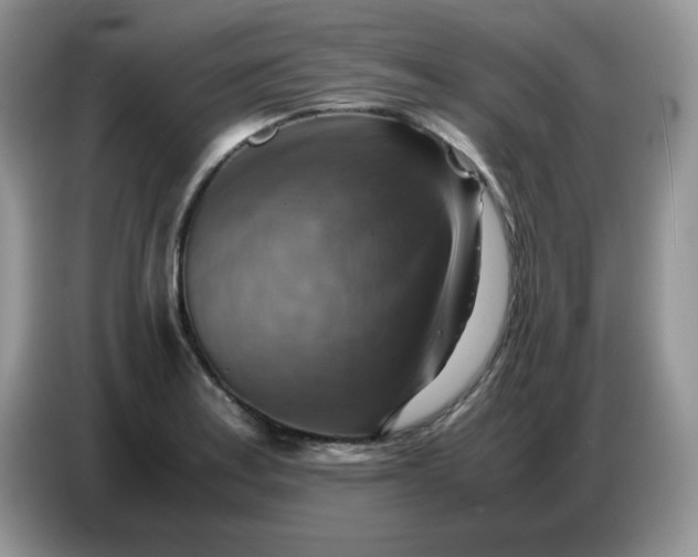 X0000086771179200704271744
